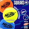 3-Pack 2.5" Squeaky Tennis Balls for Dogs – Durable, Lightweight, Dishwasher Safe Fetch Toy